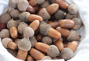 Con este dinero en el banco ya puedes estar tranquilo