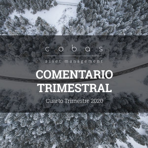 Comentario Cuarto Trimestre 2020