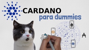 CARDANO: TODO lo que necesitas saber acerca del "ethereum" japones