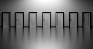 ¿Cómo incorporamos el riesgo de disrupción en nuestras carteras?