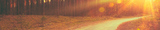 Imagen principal Imagen principal