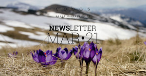Newsletter Marzo 2021 Cobas AM
