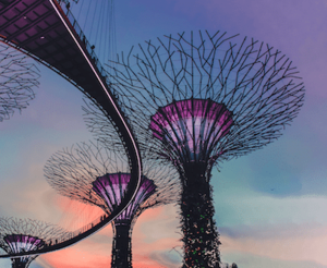 El año de la inversión temática