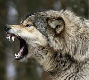 Plan de impuestos de Biden. ¿Molinos o gigantes?