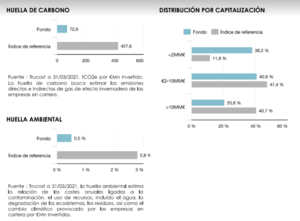 Lonvia Avenir Mid-Cap Euro: Infome marzo 2021