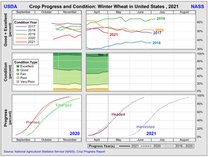 Seguimiento de las plantaciones/siembra en EEUU. Trigo, Maíz y Soja. Semana 2 Mayo