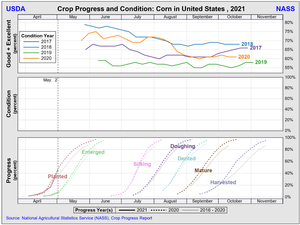 Seguimiento de las plantaciones/siembra en EEUU. Trigo, Maíz y Soja. Semana 2 Mayo