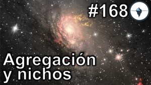 #168 - Agregación y nichos