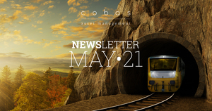 Newsletter Cobas Asset Management Mayo 2021