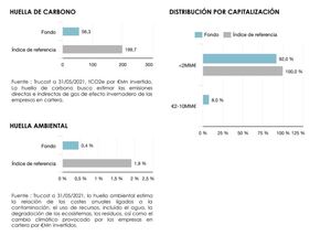Lonvia Avenir Small-Cap Europe: Informe mayo 2021