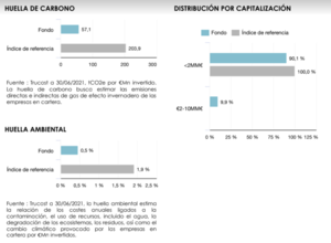 Lonvia Avenir Small-Cap Europe: Informe junio 2021