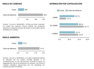 Lonvia Avenir Mid-Cap Euro: Infome junio 2021