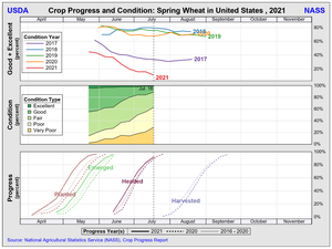 Seguimiento de las plantaciones/siembra en EEUU. Trigo, Maíz y Soja. Semana 18 de julio.