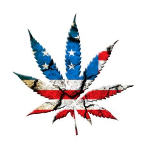 Principales compañías de la industria del cannabis