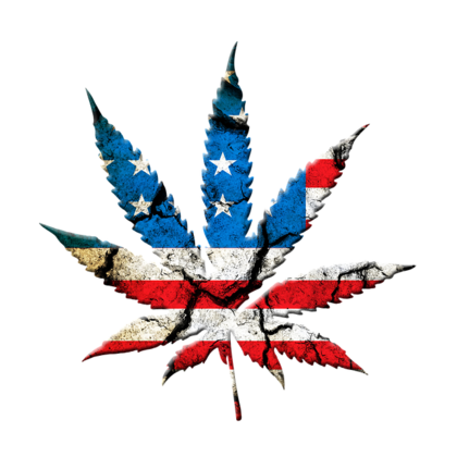 Principales compañías de la industria del cannabis
