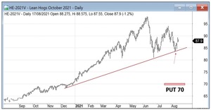 ¿Cómo comprar cuando cae? La barrera absorbente