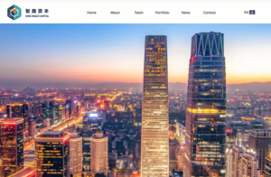 Escasez de chips y chips falsificados en China