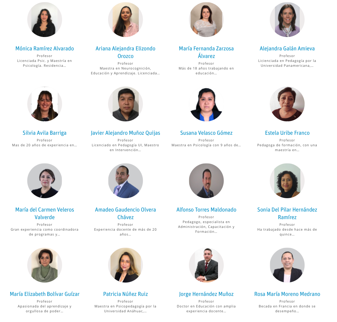 Profesorado de la universidad de internet