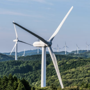 Invirtiendo hacia la neutralidad de carbono: NextEra Energy y Enel (casos de estudio)