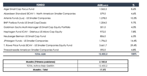 Estas son las SMALL CAPS de EEUU Favoritas de los Mejores FONDOS DE INVERSIÓN