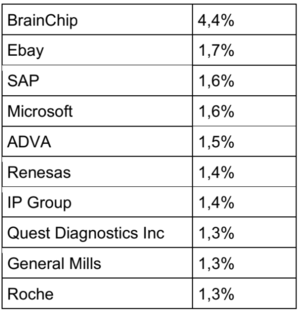 Informe Wertefinder: Noviembre