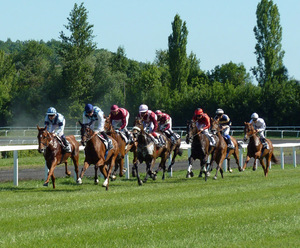 La Asignación de Capital: ¿Caballos o Jockeys? (Parte I)