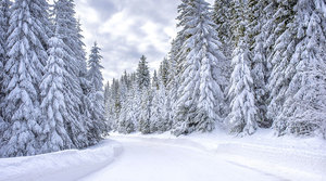 Calidad, rentabilidad y consistencia: la fórmula del Beka International Select Equities