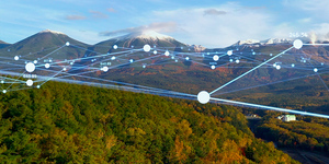 ¿Cómo y por qué aprovechar la Inteligencia Artificial para invertir en el S&P 500?