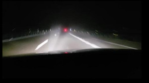 Lecciones perrunas para no perderte de noche