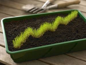 'El mundo está cambiando y nuestra forma de invertir también', por Beatriz Pérez