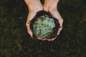 Invertir en una sociedad más sana