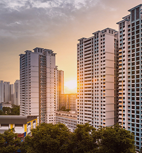 Promotoras 2022: valor y momentum