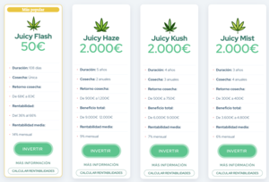 Alternativas a Juicy Fields: CUIDADO con esta inversión