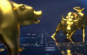 Enfoque en el Foro del BCE