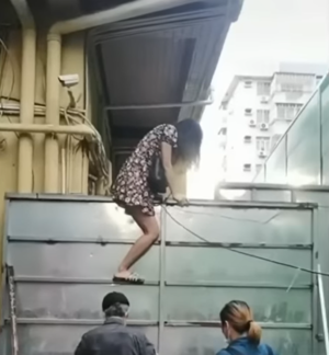 Escapando de la cuarentena