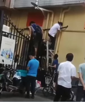 Escapando de la cuarentena