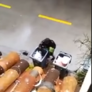 Escapando de la cuarentena