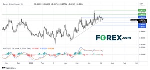 Dos trades en el foco de esta semana: EUR/GBP y Oro