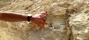 Salud mental: En busca de Atlantis