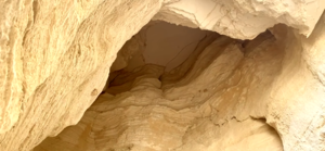 Salud mental: En busca de Atlantis