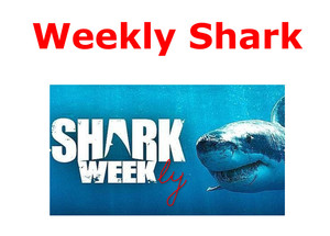 Actualización Trackrecord Sistema WEEKLY SHARK