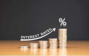 Unas 24 horas salvajes