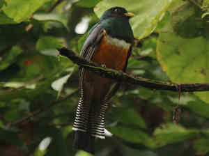 El TJUE insiste: debe condenarse al pago de las costas a quien impone cláusulas abusivas, y por cuantia suficiente