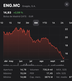 ¿Soy el único no accionista de Enagás?