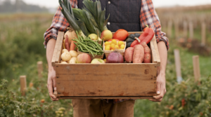 ¿Cómo invertir en agricultura? Acciones, ETFs y fondos de inversión