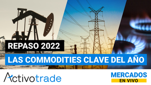 Las commodities clave del año 2022
