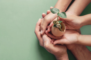 ¿Es mejor la inversión sostenible indexada?