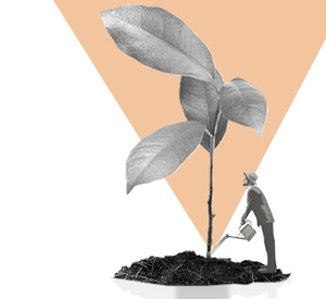 Descubre el mundo de la renta fija