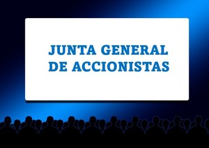 Junta General de Accionistas