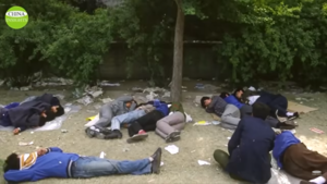 Las razones del fracaso demográfico del mundo "desarrollado"